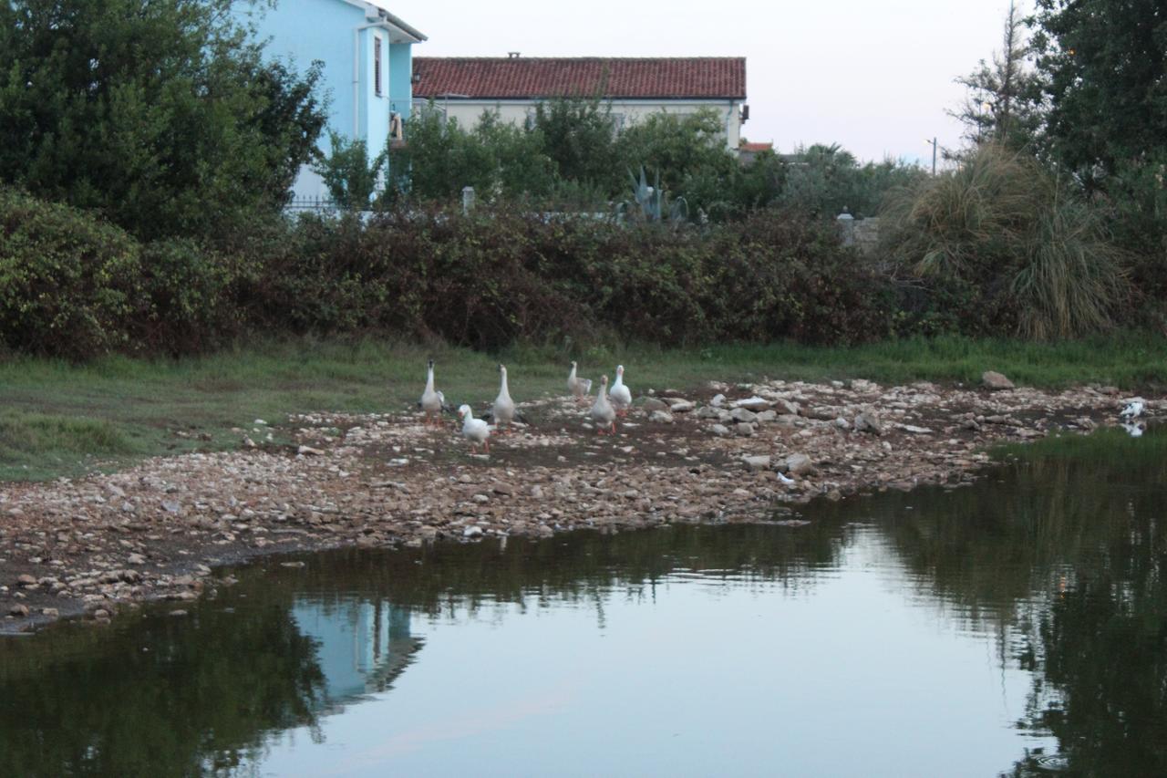 Apartments Barbic Medulin Dış mekan fotoğraf