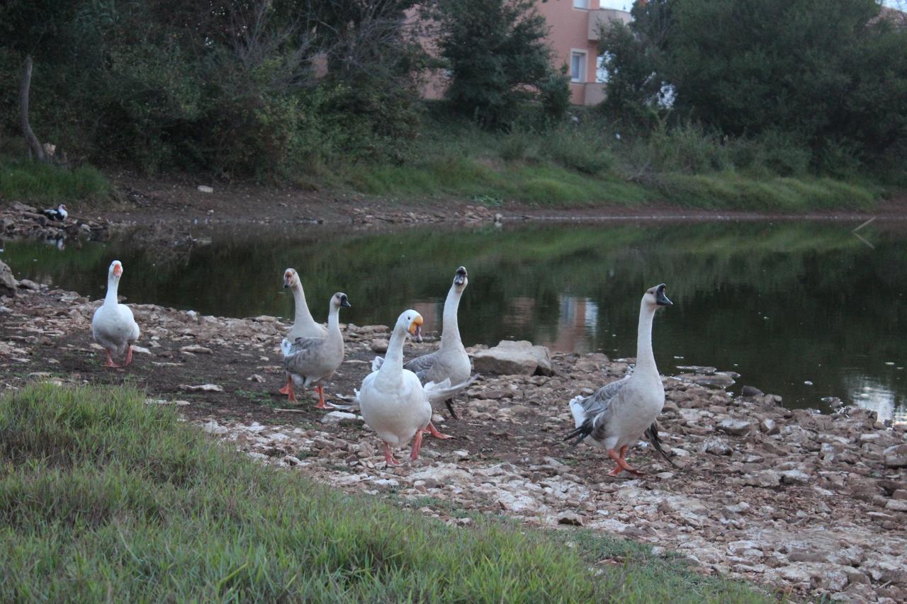 Apartments Barbic Medulin Dış mekan fotoğraf